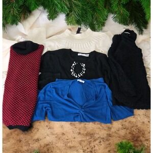 Holiday Sweater/Top Bundle Of 5 Women's Sz Medium Luxe Fieldgear Charter Club...